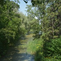 Ботанический сад 08 :: Олег Манаенков