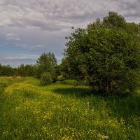 Последний день весны :: Андрей Дворников Последний день весны :: Андрей Дворников