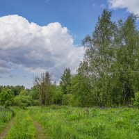 В поле... :: Владимир Жданов