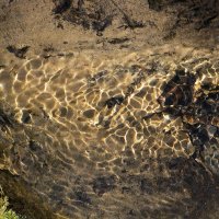 Блики на воде :: Наталья 