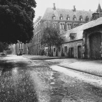 Майский ливень... :: Elena Ророva