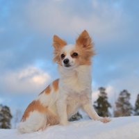 Буська :: Рудаков Сергей 