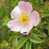 ** :: Виталий Емельянов