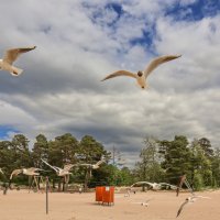 Первый день лета :: skijumper Иванов