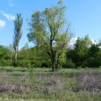 Природа  Крыма :: Валентин Семчишин