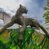 Московский зоопарк. :: Борис Калитенко