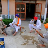 Сикхские мужчины чистят картошку :: Георгий А