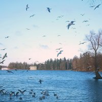 Осень :: Vyacheslav Gordeev Осень :: Vyacheslav Gordeev