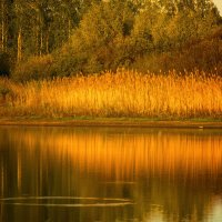 Предночь... :: Влад Никишин