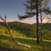 * :: Александр Иванов