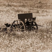 Юринское убоище :: Сергей Старовойт