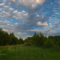 Майский вечер :: Александр Синдерёв