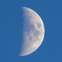 * :: Виталий Емельянов