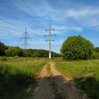 Зарисовки неюного натуралиста :: Андрей Лукьянов