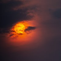 А солнышко уходит. :: Виктор Иванович Чернюк