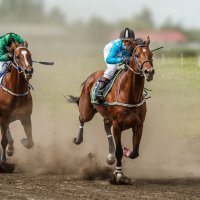 Скачки :: SanSan 