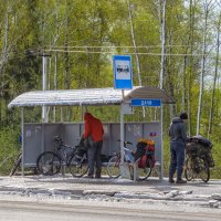 Отдых на дачах :: Сергей Цветков