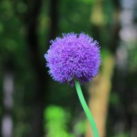 ... :: Владимир иванов