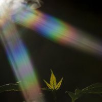 Листок :: Lyubov Busova