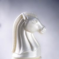 Конь :: Lyubov Busova