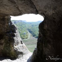 Природа Крыма :: Amazing Cosmea