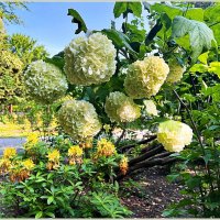 ***** :: Валерия Комова