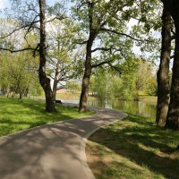 Май, у пруда :: ZNatasha -