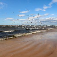 Первый день лета :: skijumper Иванов