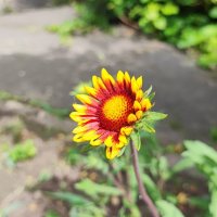 ,,, :: Сергей Тимоновский