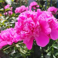 ,,, :: Сергей Тимоновский