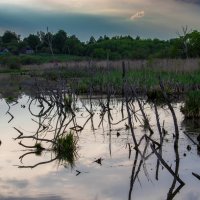 Жирятинский район :: Sergei Vikulov