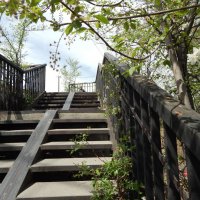 Лестница на мост :: Екатерина Панова Лестница на мост :: Екатерина Панова