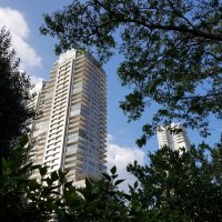 Прогулки по Ашдоду ! :: Светлана Хращевская