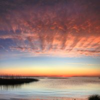 *** :: Сергей Григорьев