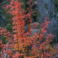 Эксперимент 11 :: Andy 