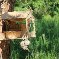 В парке. :: Венера Чуйкова