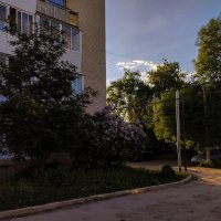 *** :: Дмитрий Костоусов