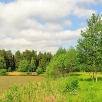Летнее утро :: Андрей Снегерёв Летнее утро :: Андрей Снегерёв