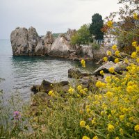 Крым. Гурзуф. Май 2025 :: Вячеслав Владимирович