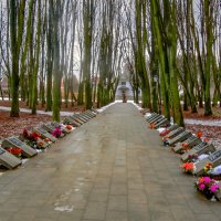 Аллея Славы :: Сергей Карачин Аллея Славы :: Сергей Карачин