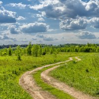 Просёлок :: Владимир Езеров 