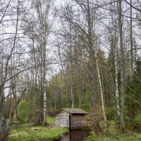 Река Кибелек :: Алексей Р.