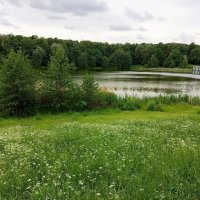 Сегодня облачно :: Андрей Лукьянов