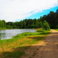 Наше лето :: Милешкин Владимир Алексеевич 