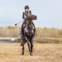 Кросс :: SanSan 