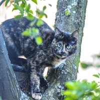 безопасное место. :: petyxov петухов