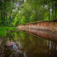 **** :: Елизавета .