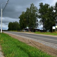 Ядрин. Берёзки вдоль автомобильной дороги 97К-006. :: Пётр Чернега