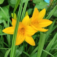 ,,, :: Сергей Тимоновский