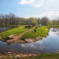 *** :: Сергей Григорьев